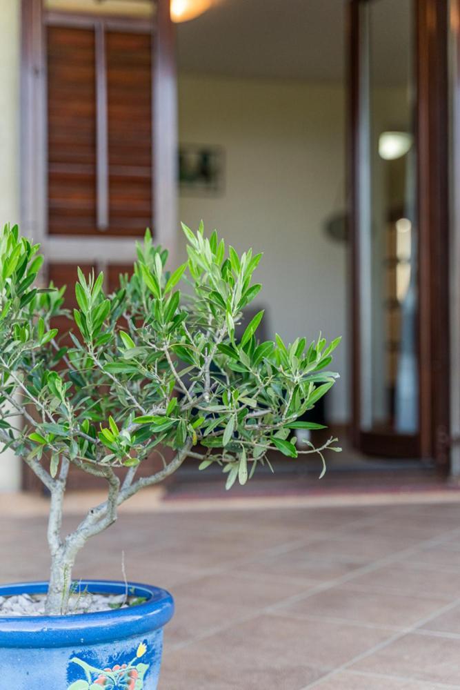 Apartment Elio 1606 ラビン エクステリア 写真